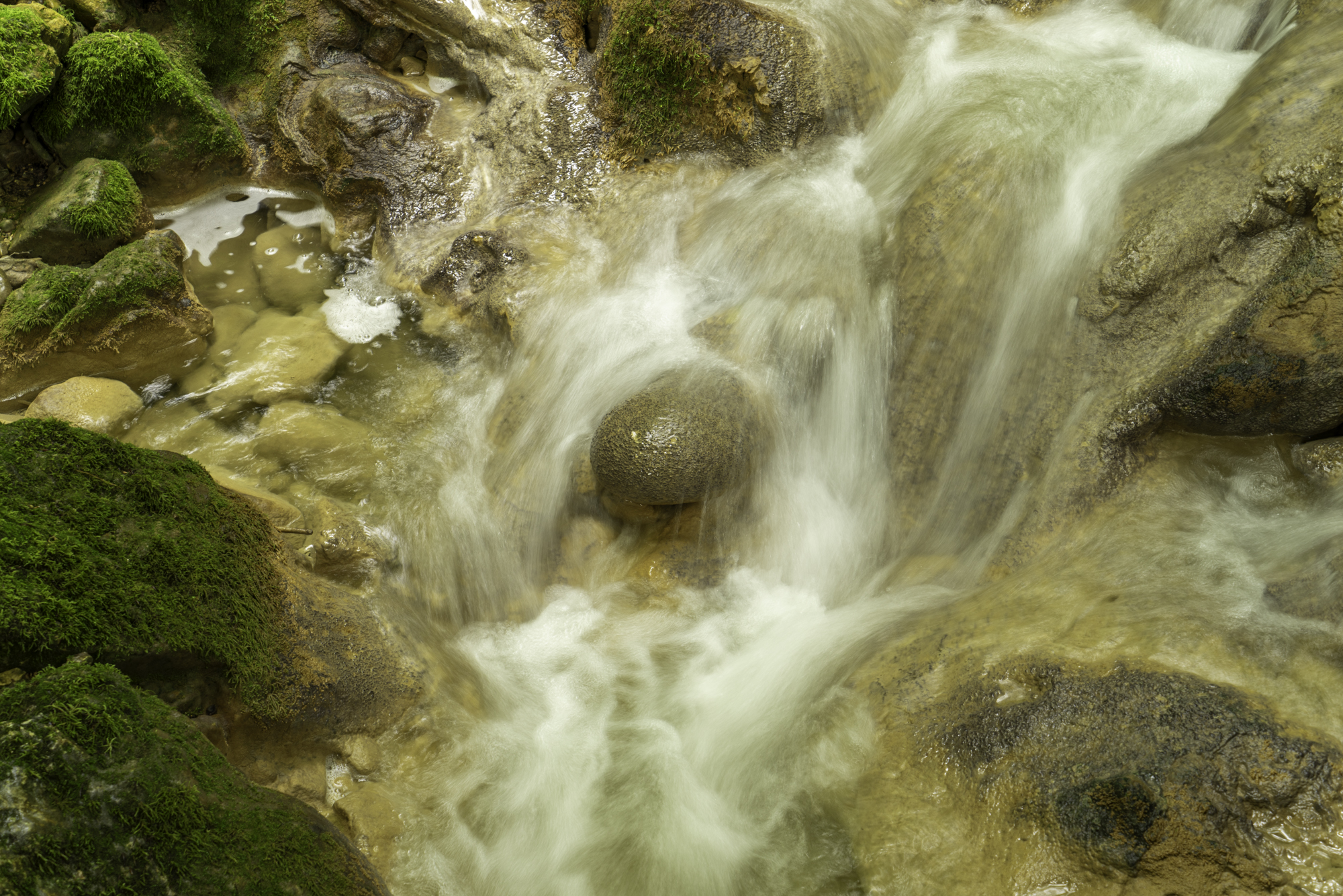Turnreise 2024 - Twannbachschlucht