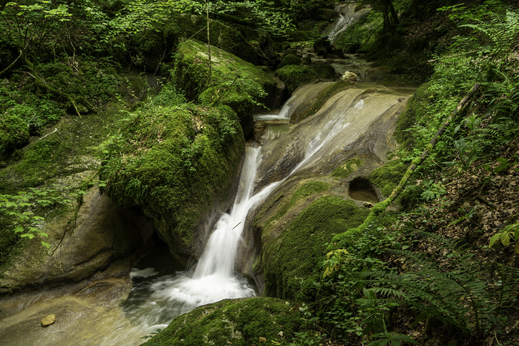 Turnreise 2024 - Twannbachschlucht