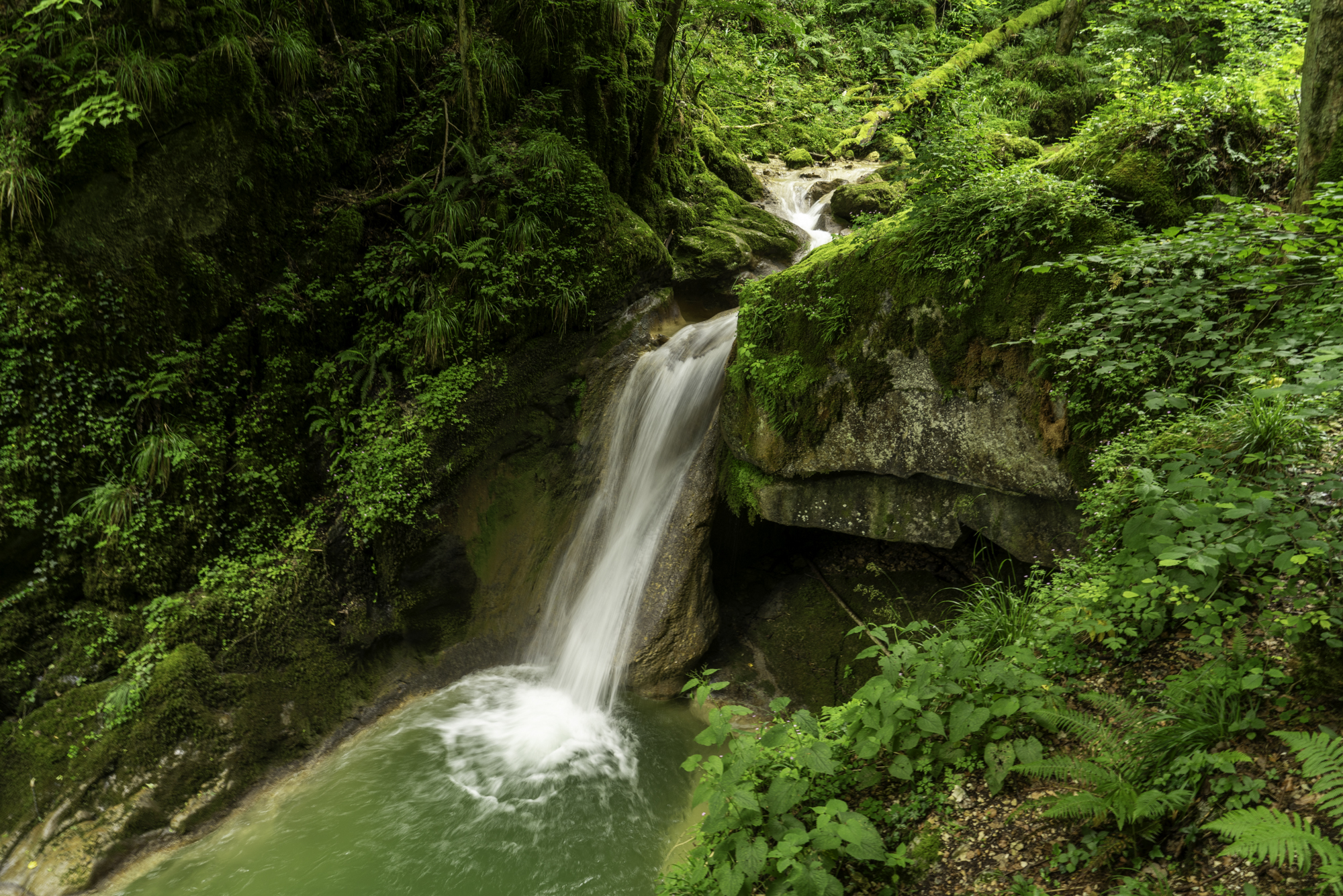 Turnreise 2024 - Twannbachschlucht